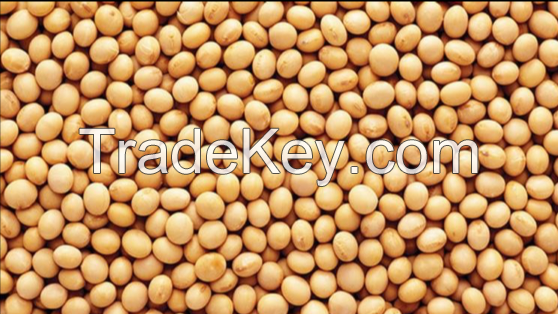 Soybeans