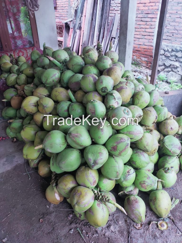 sell fresh Coconut, young coconut, coconut water.