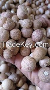 sell betel nut, areca nut, supari