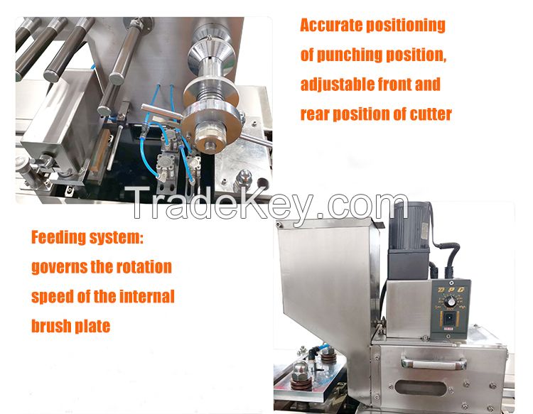 DPB80 medicine solid tablets ca[sules packaging blister packing machine