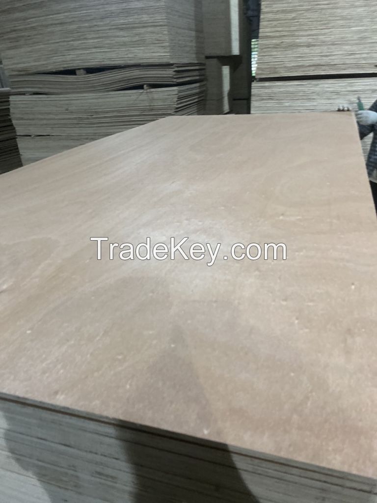 Vietnam Okoume Plywood 