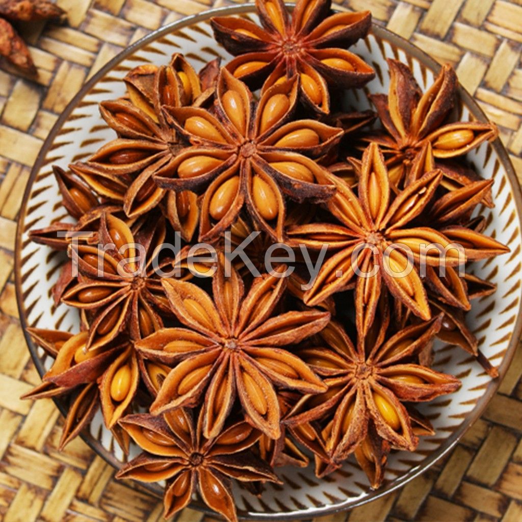 star anise anise spices Viet Nam Food spices anise flavor Culinary spices