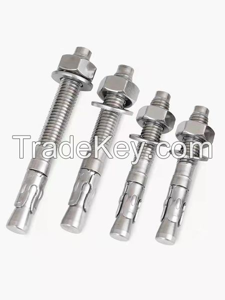 Fastener Anchors M6-M24 Wedge Anchor YP BZP can customized