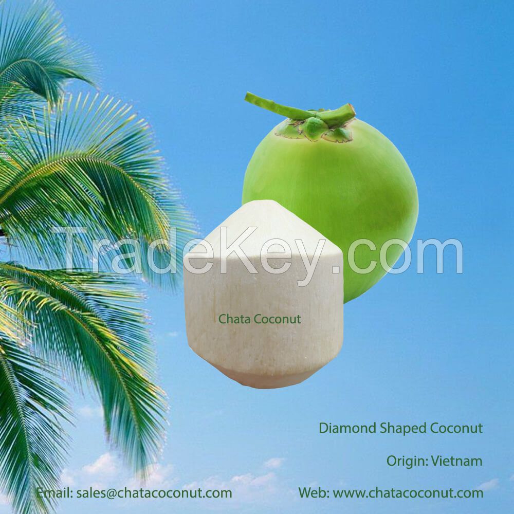 Fresh coconut from Vietnam