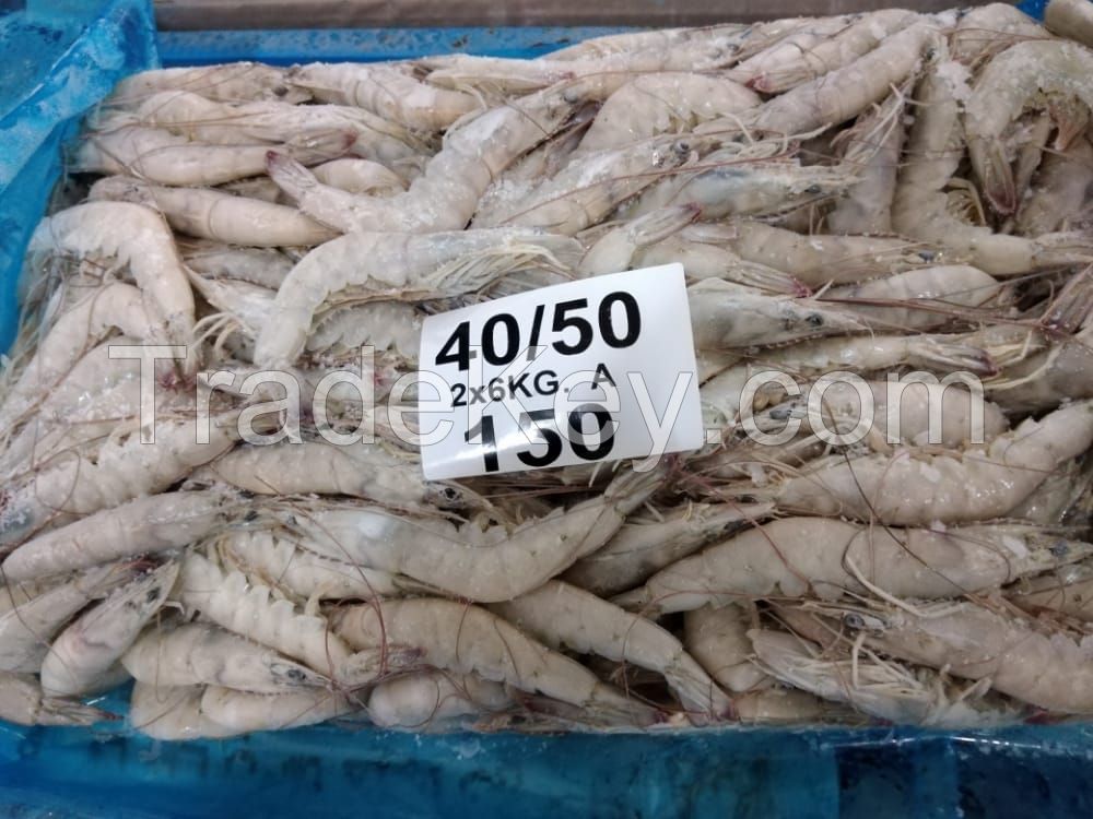 Vannamei Shrimp