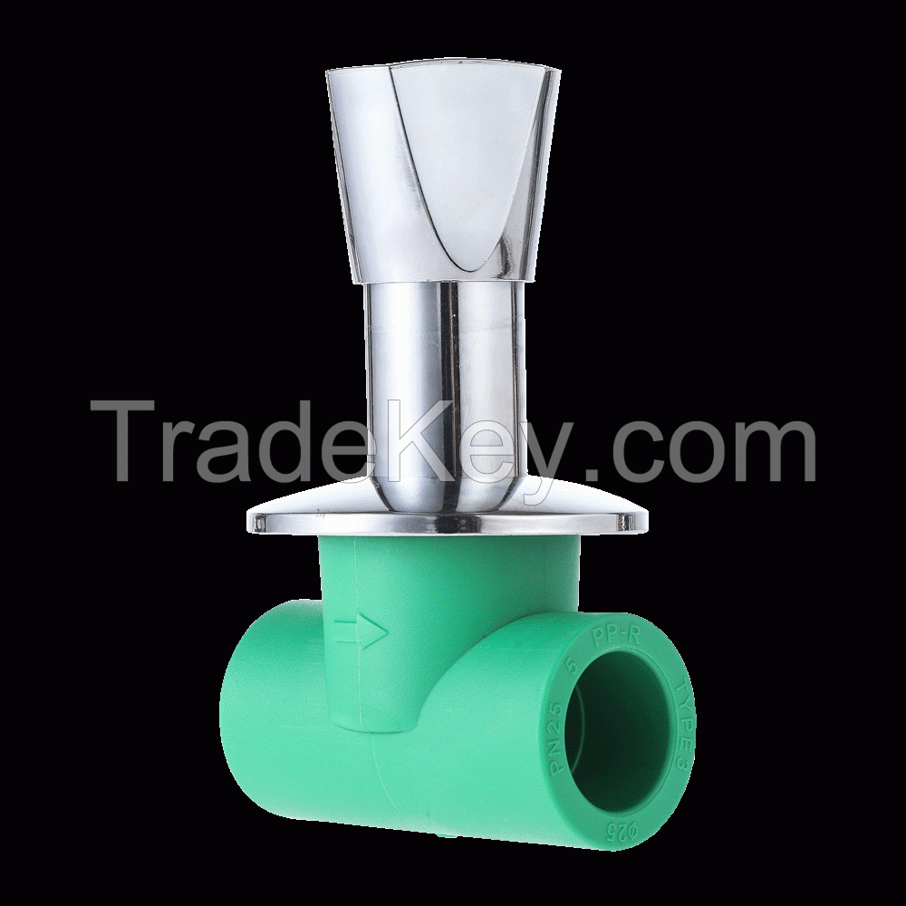 ppr/pvc/pe pipes and pipe fittings