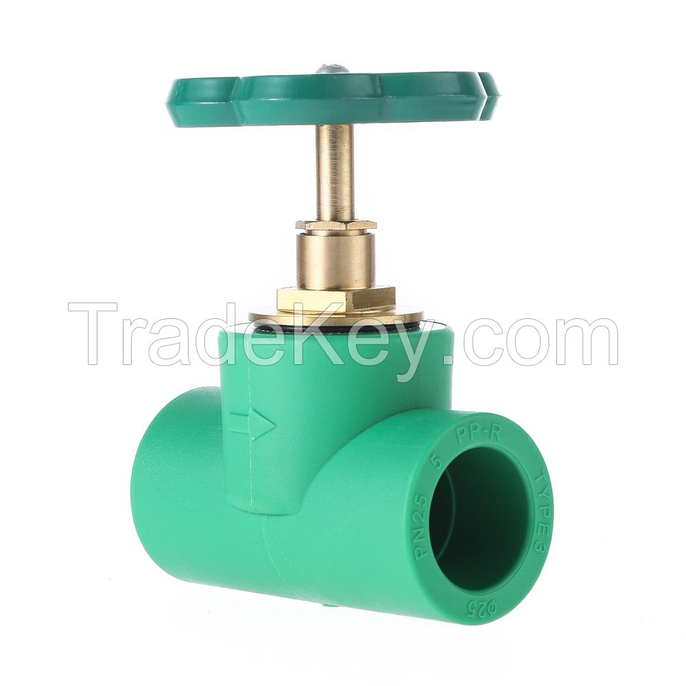 ppr/pvc/pe pipes and pipe fittings