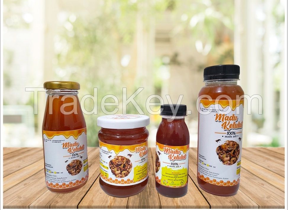 Madu Kelulut Trigona spp Borneo Stingless Bee Honey