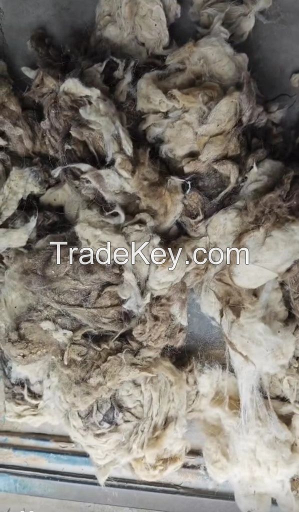 White Light Grey Tibet raw greasy cashmere Tibetan Cashmere Fibre 14.5micron with 36mm Prompt Shipment