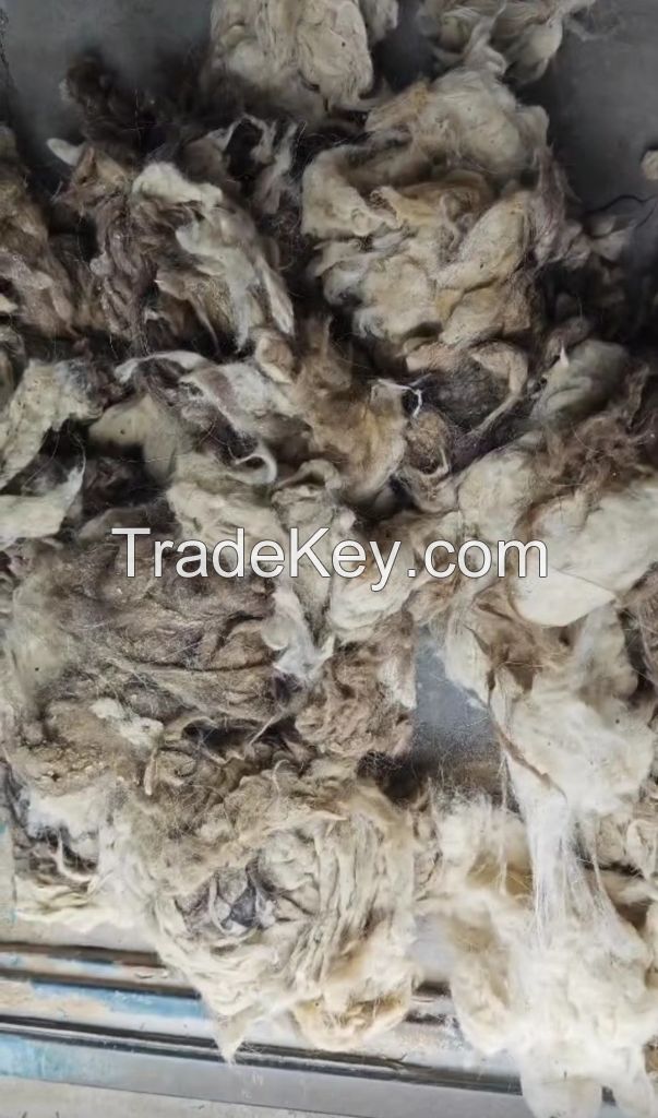 White Light Grey Tibet raw greasy cashmere Tibetan Cashmere Fibre 14.5micron with 36mm Prompt Shipment