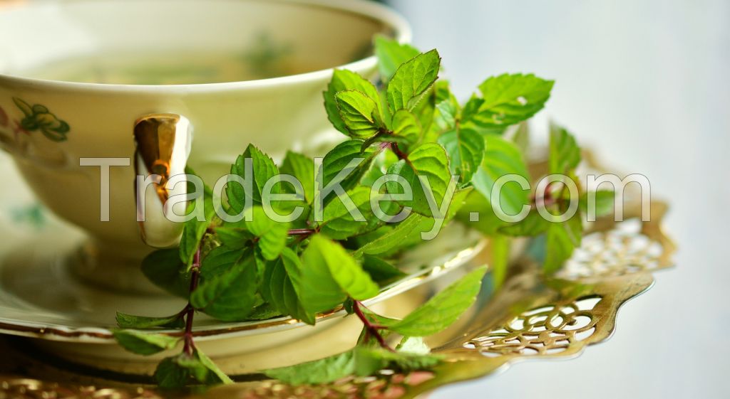 Kaveri Aroma Tea