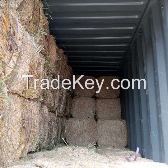 Wholesale Wheat Straw Manufacturers, Exporters and Suppliers in Pakistan