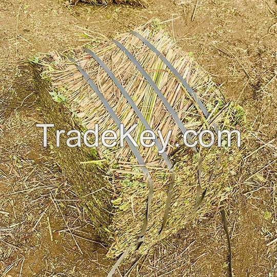 Top Quality Peanut Straw Exporters For Cattle Forage From Pakistan