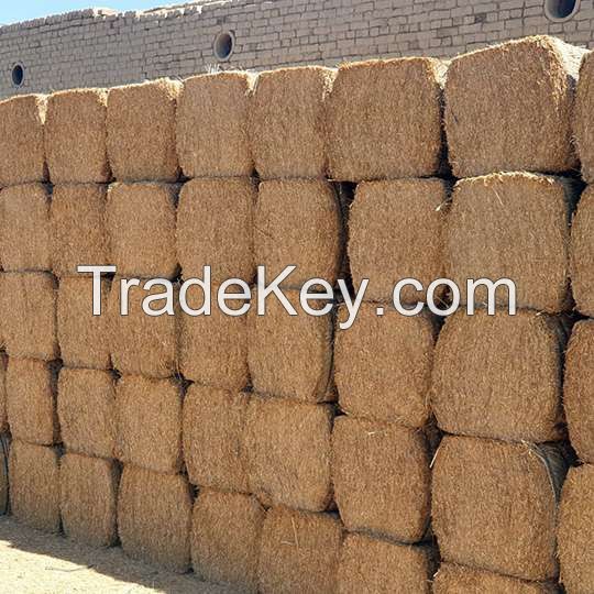 Excellent Quality Chickpea Straw Exporters and Suppliers in Pakistan