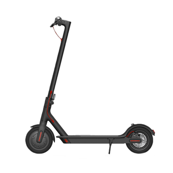 TAXING Cheap Scooter  5000 a 10000w hub motor 48v 1000w 10 inch electric scooter