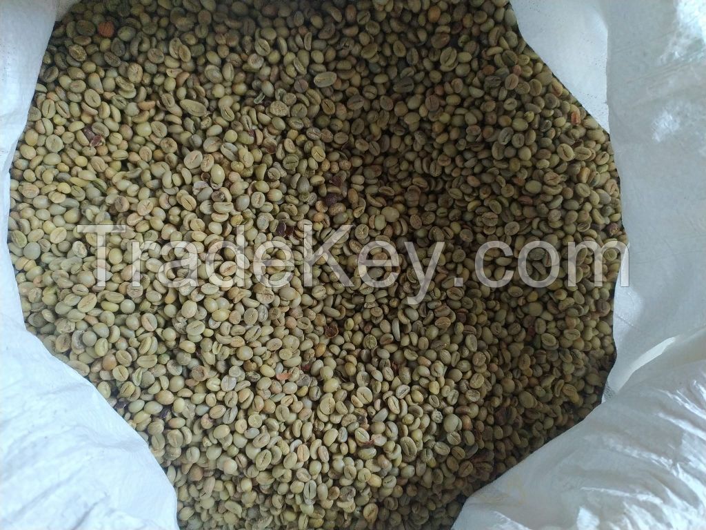 coffee beans arabica, robusta