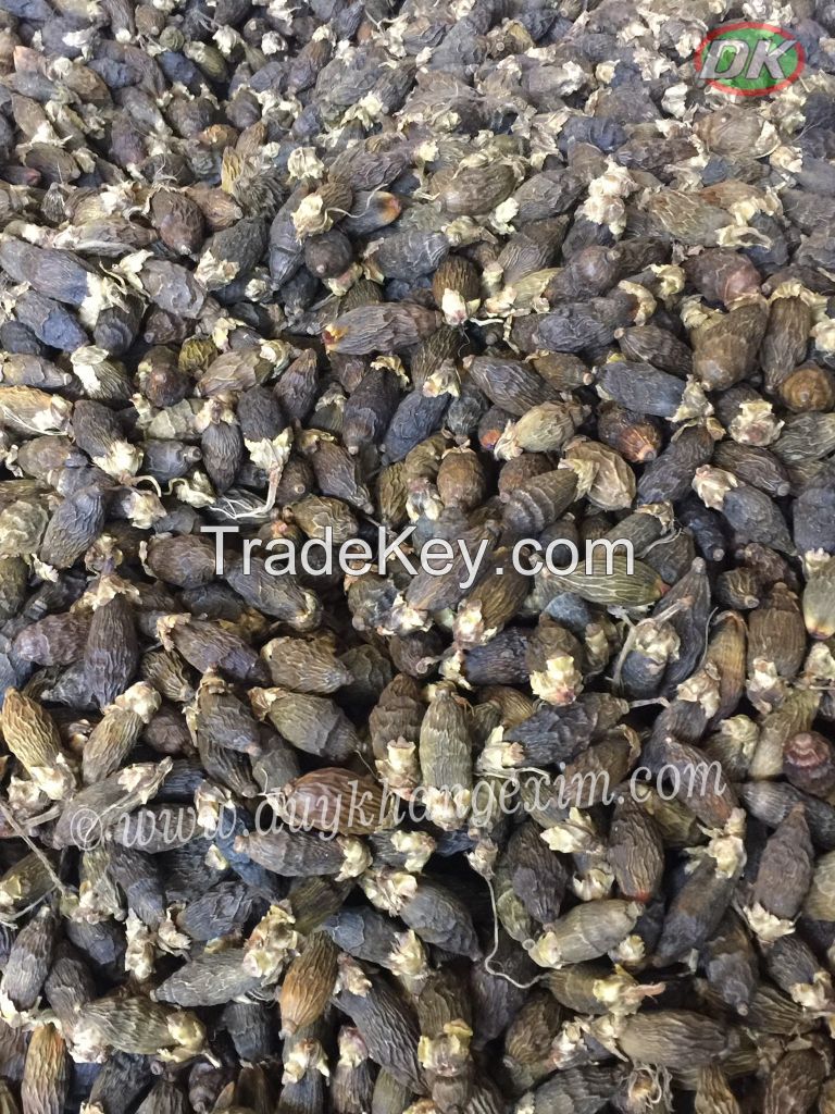 Dried Young Betel Nut