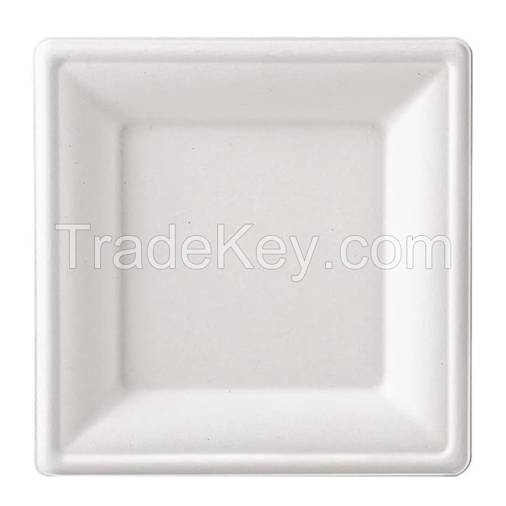 10 Inch Hot Selling Party Restaurant Environmentally Friendly Disposable Biodegradable Plate Bagasse Square Plate (500 Pcs/Box)