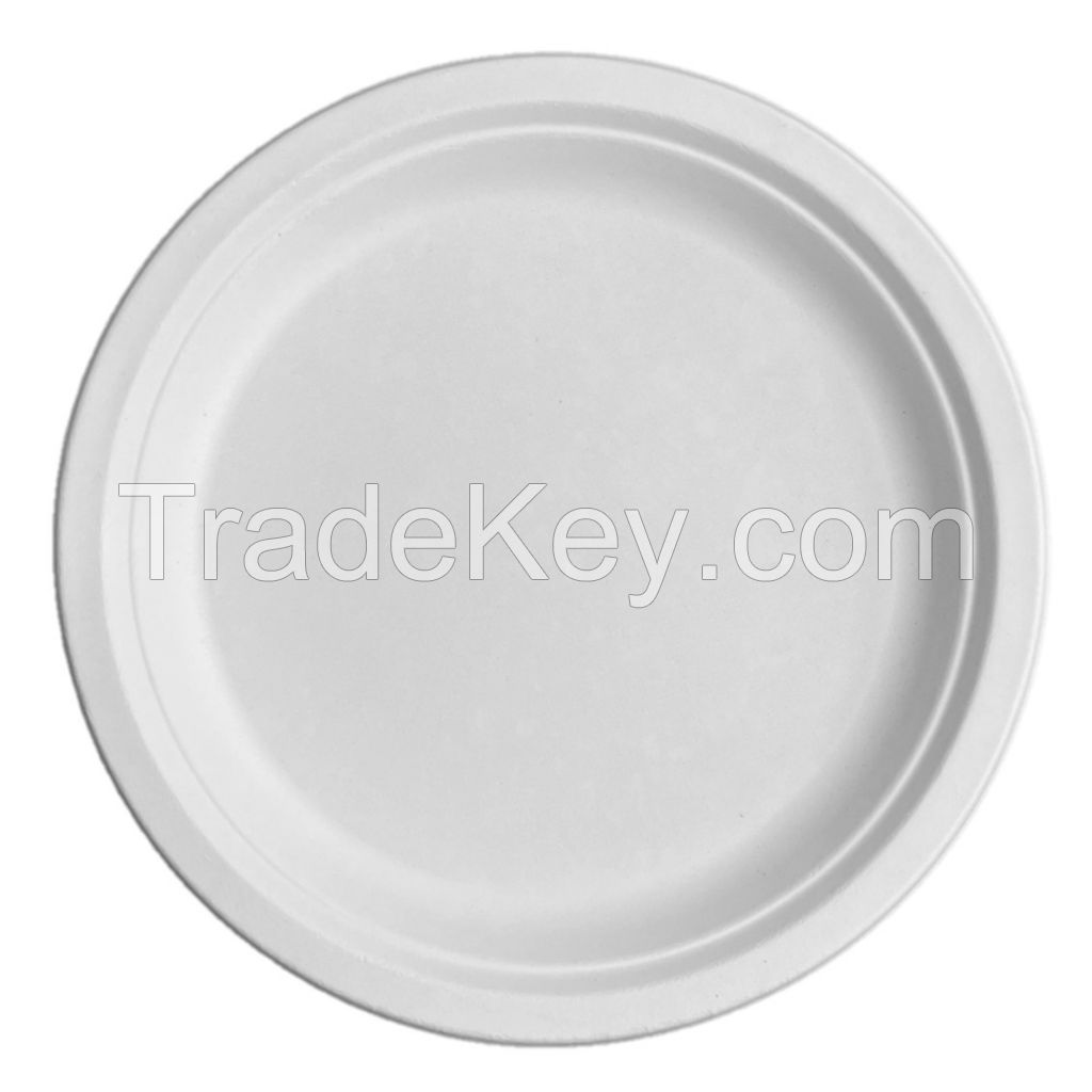 10-Inch Environmentally Friendly Biodegradable Compostable Disposable Bagasse Food Dessert Discs (500 Pcs/Box)
