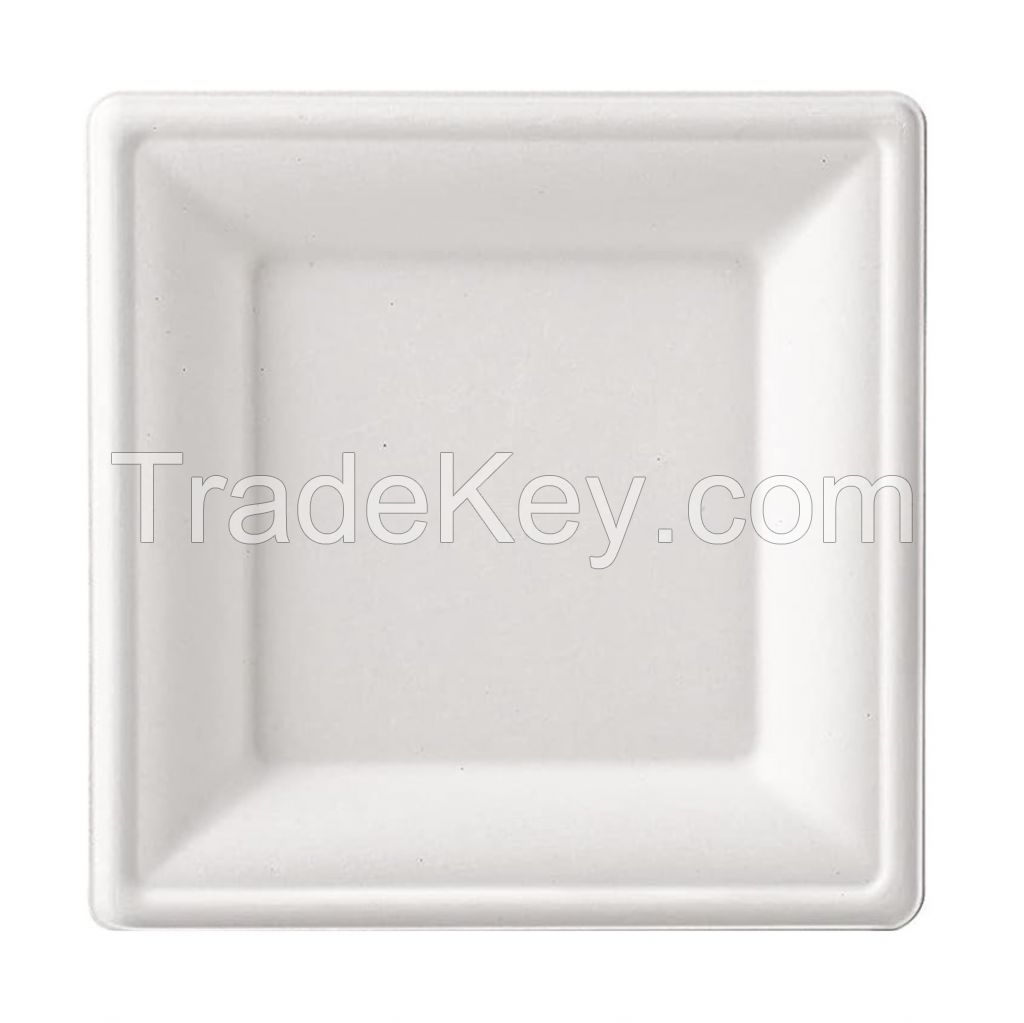 6-Inch Bagasse Environmentally Friendly Disposable Biodegradable Plate Bagasse Square Plate Oval Plate (500 Pcs/Box)