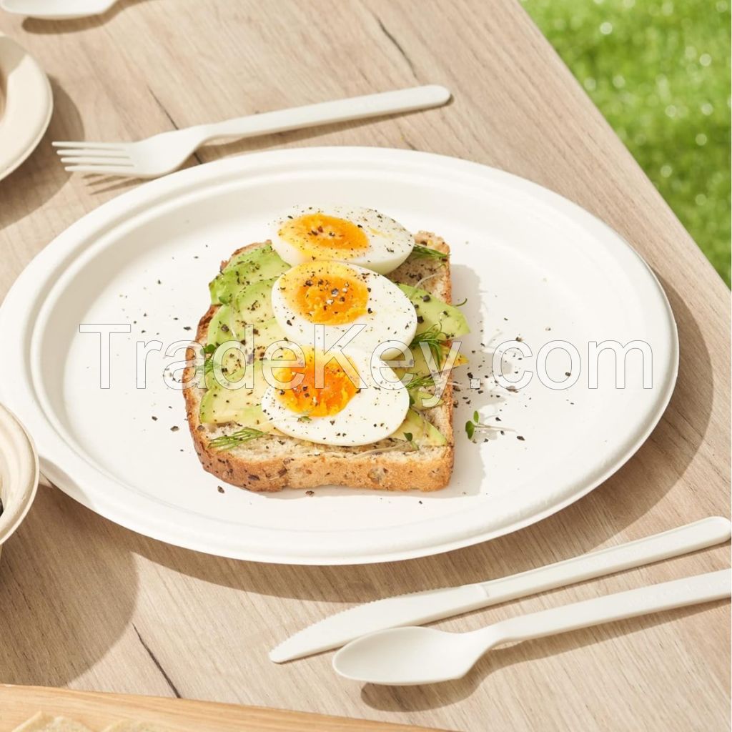 7-Inch High Quality Disposable Eco-Friendly Biodegradable Food Discs And Cutlery (1000 Pcs/Case)