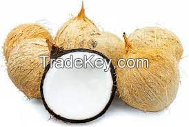  Semi Husked Coconut