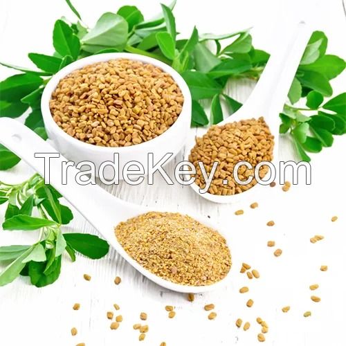 Fenugreek Seeds