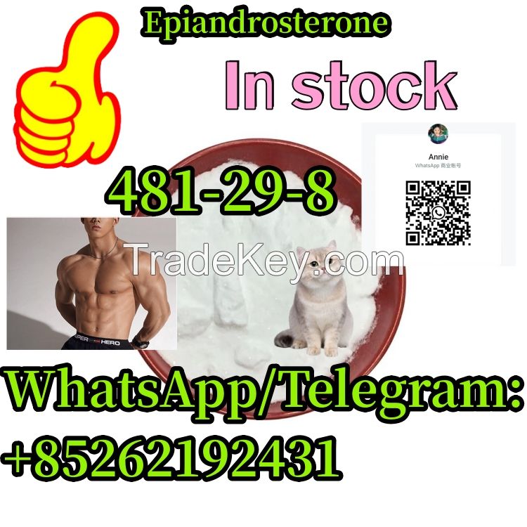 high purity and in stock  CAS 481-29-8  Epiandrosterone 99%