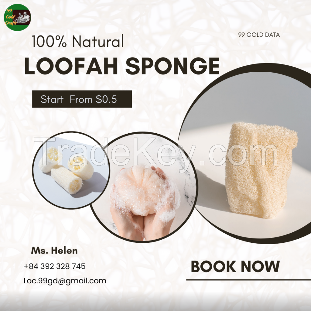 Vietnam Whole Dried Loofah For Bath Body / Luffa Pad Sponge For Dish Washing 100% Natural