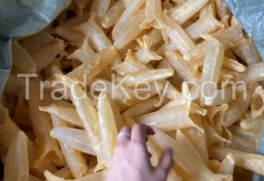 Dried Seabass Fish Maw High Quality 100% Natural Dried Top Quality Popa Fish Maw