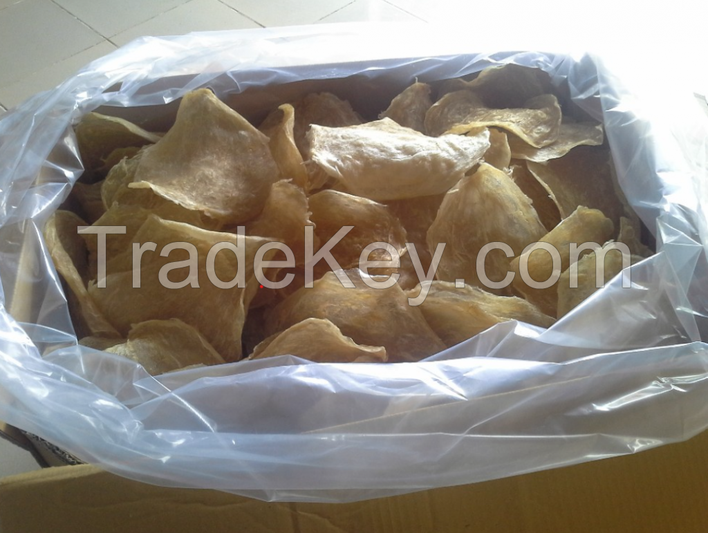DRIED SEABASS FISH MAW HIGH QUALITY 100% Natural Dried Top Quality Popa Fish Maw