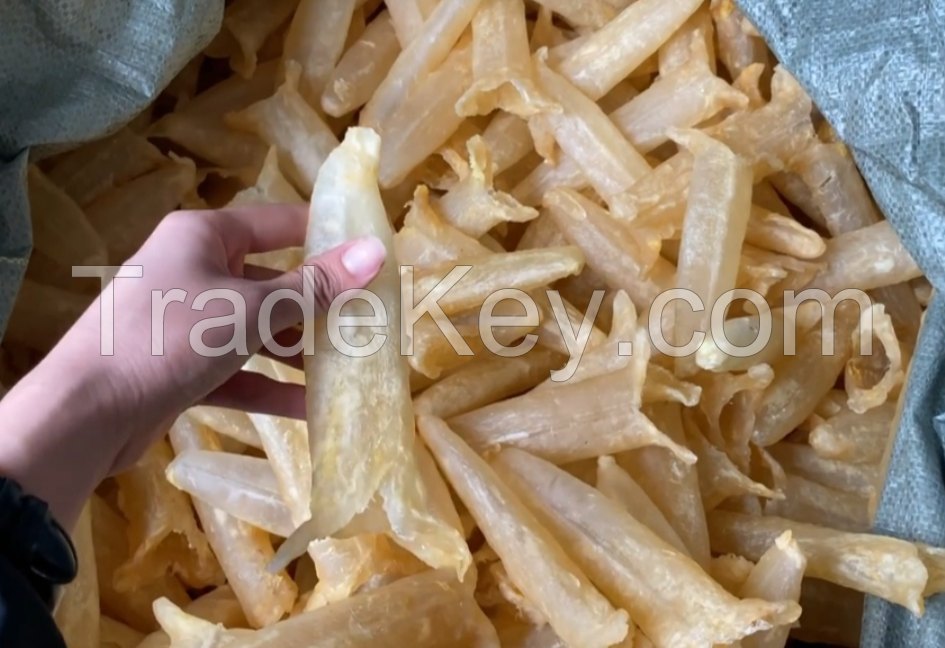 DRIED SEABASS FISH MAW HIGH QUALITY 100% Natural Dried Top Quality Popa Fish Maw