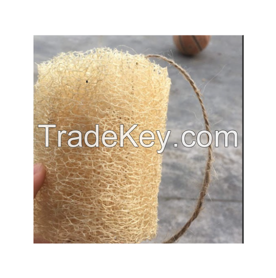 Vietnam Whole Dried Loofah For Bath Body / Luffa Pad Sponge For Dish Washing 100% Natural