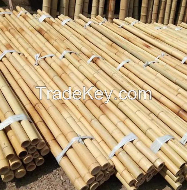 BAMBOO POLE FOR PLANTING AND CONSTRUCTION