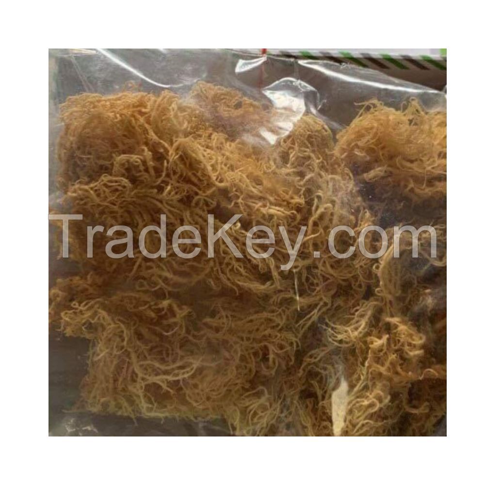 Eucheuma Cottonii Sea Moss