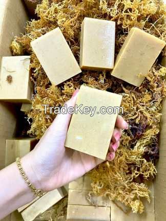 Golden Sea Moss Soap Goof For Skin Made In Vietnam/Dried Sea Moss And Sea Moss Gummies/Ms. Lima (+84) 346565938