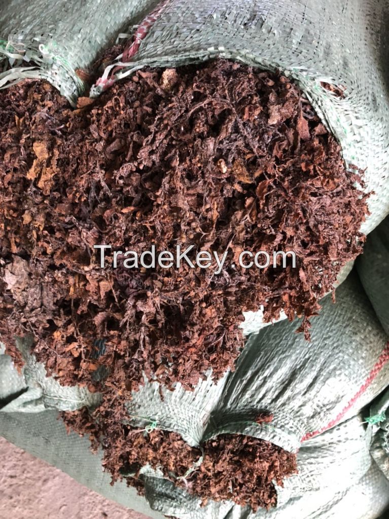Supplier of Natural Sargassum seaweed exporting large quantities from Vietnam  / Lima +84 346565938 (whatsapp)