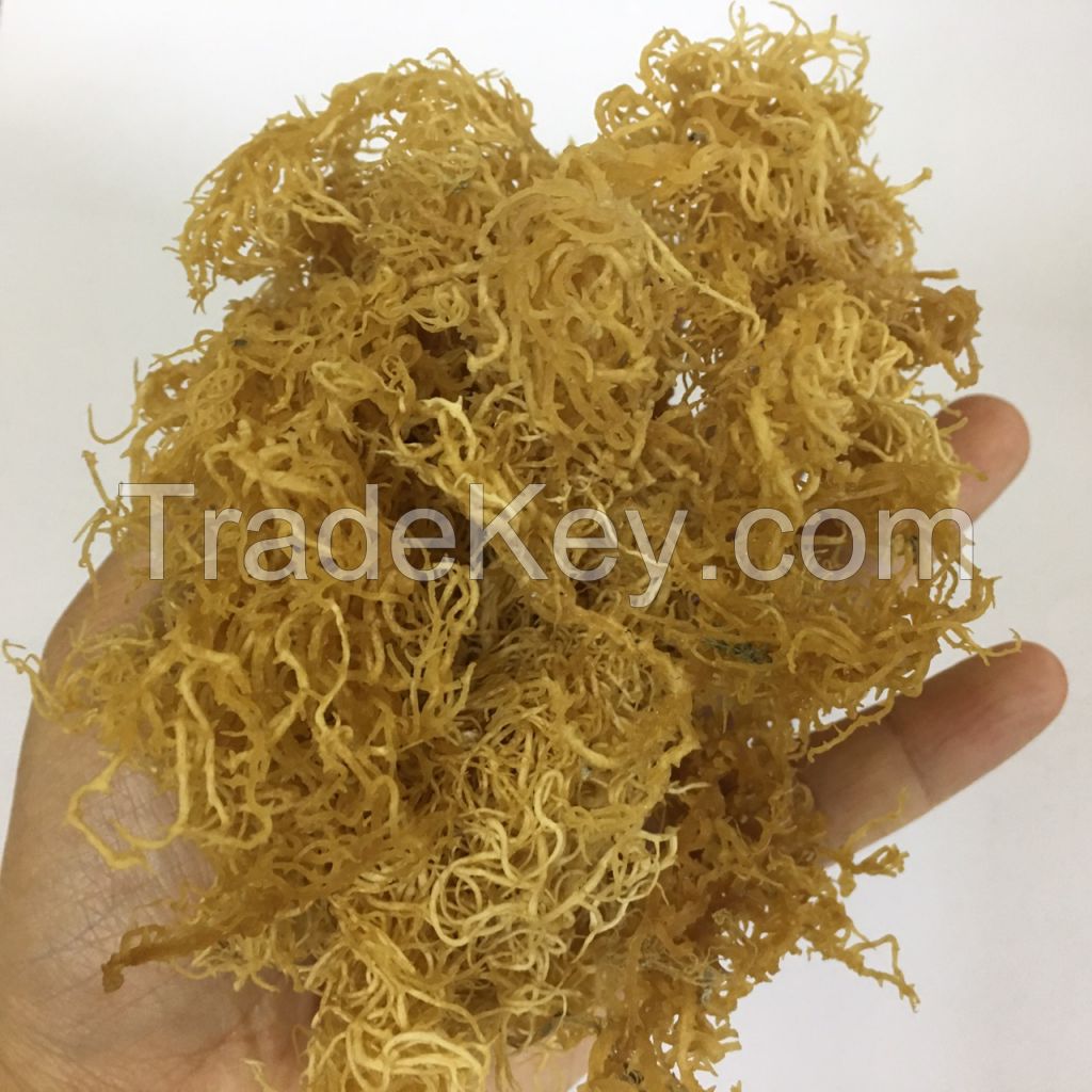 Dried Sea moss/ Wildcrafted sea moss/ Eucheuma Cottonii/ Irish moss from ocean Vietnam / Lima +84 346565938 (whatsapp)