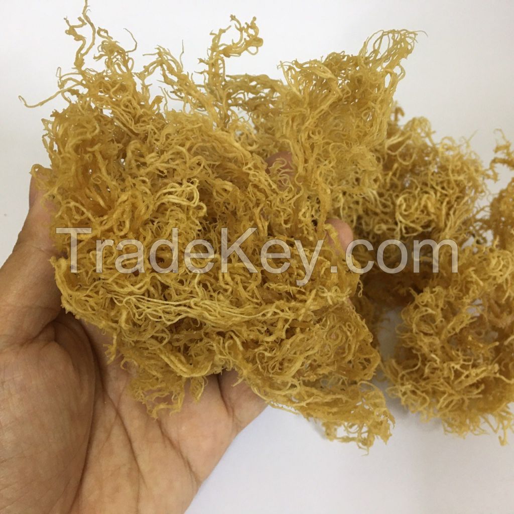 Dried Sea moss/ Wildcrafted sea moss/ Eucheuma Cottonii/ Irish moss from ocean Vietnam / Lima +84 346565938 (whatsapp)
