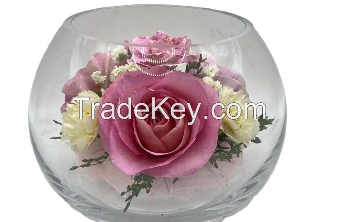 Preserved Pink Rose arranged in round sealed glass jar