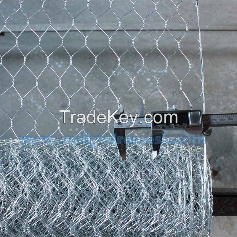 Hexagonal Wire Mesh Galvanized and PVC coating Chicken netting stucco mesh