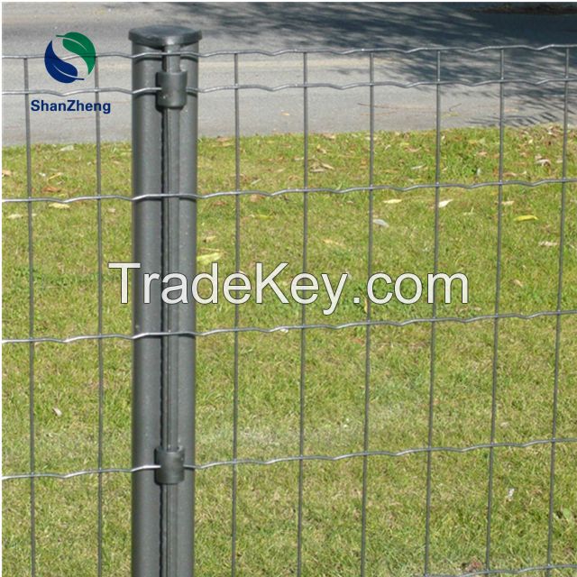 Welded Wire Mesh rolls Galvanized and PVC coating Wire Fence Euro Fencing
