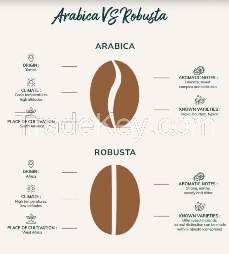 Arabica coffee beans