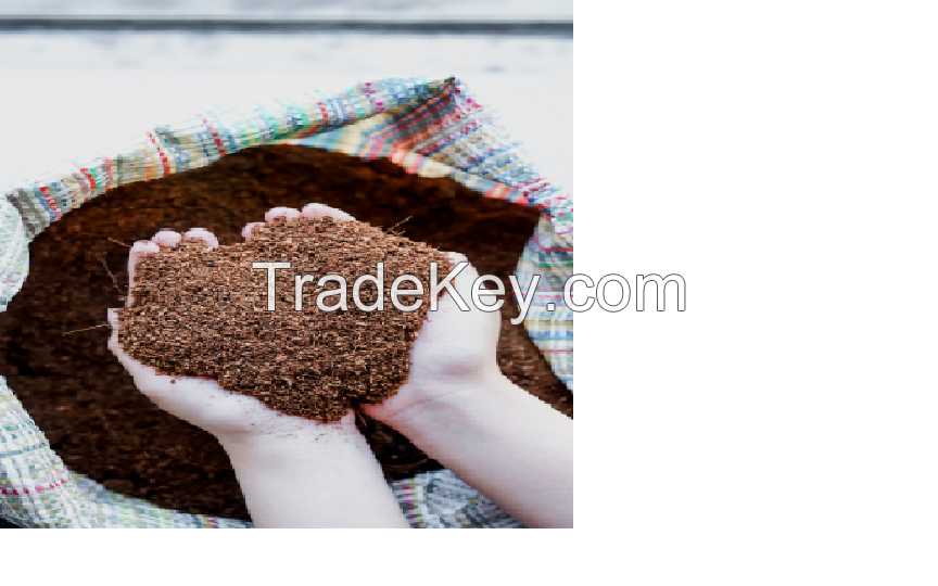 Cocopeat Press Brick 650gr