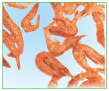 gammarus, dried shrimp