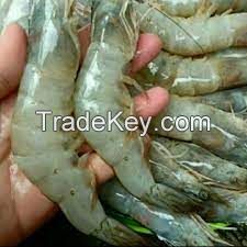 bharaya seafood