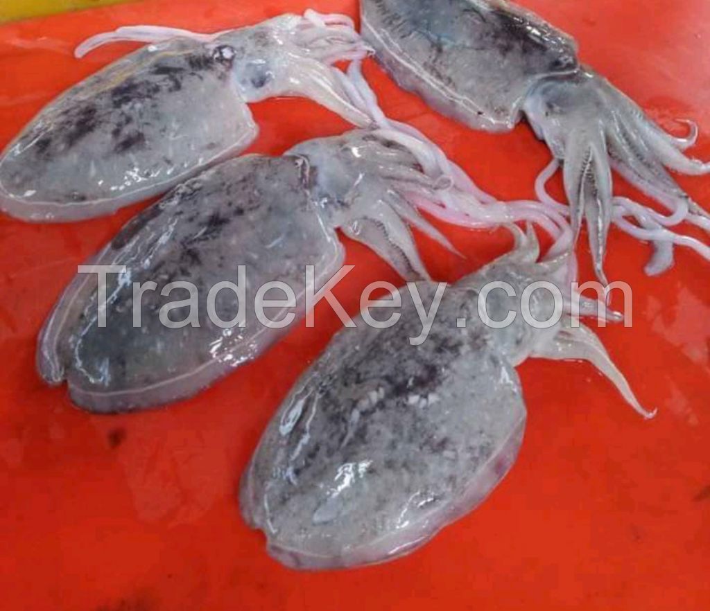 bharaya seafood