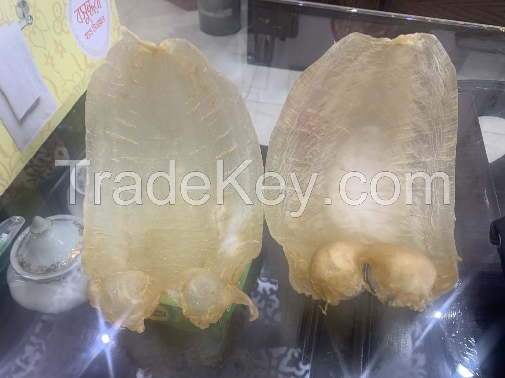 DATINA fish maw available from Bay of Bengal fresh water sea food.