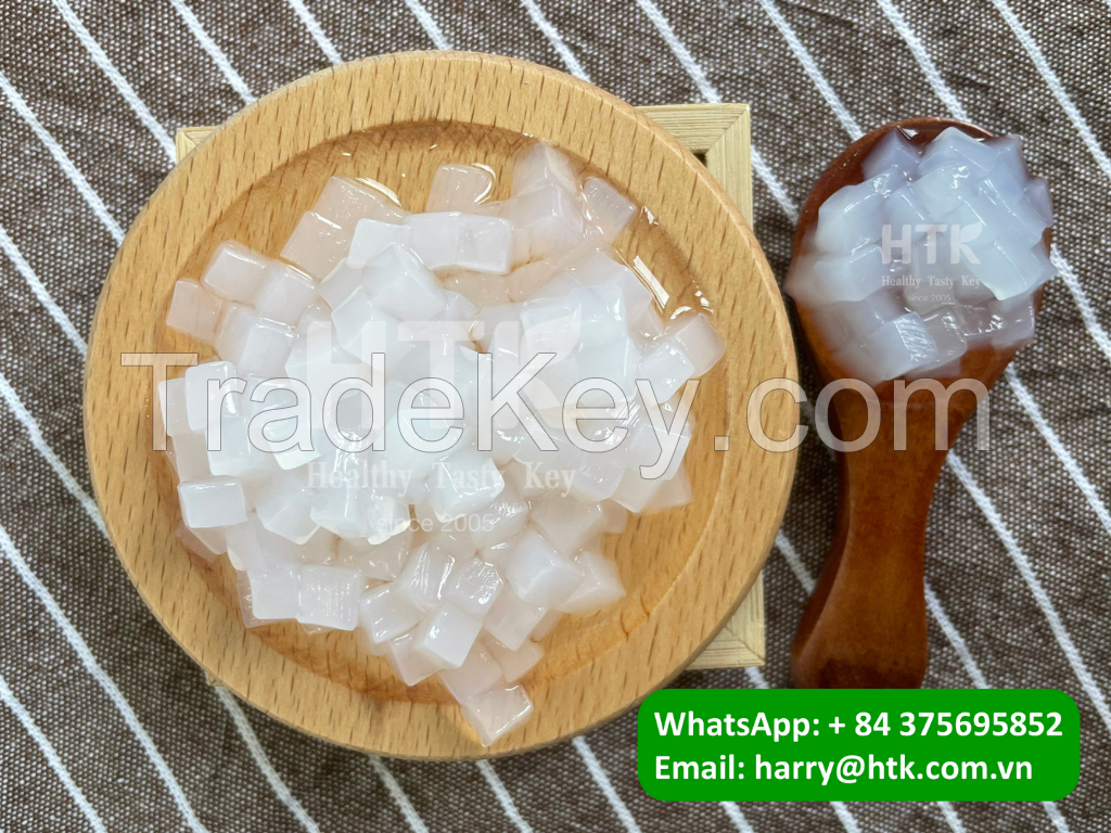 Hot sale 2024 Nata De Coco in Syrup Coconut Jelly for Beverages by HTK Food Manufacturer in VietNam