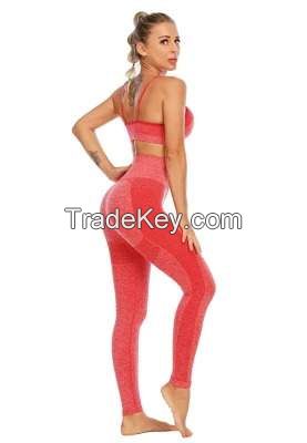 Lades Seamless Sportswear Fitness Wear Gym Wear Yoga Wear Active sports bra sport vest sport legging